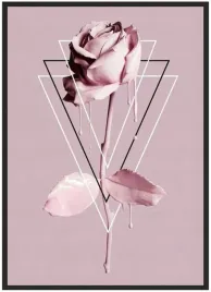 plakat-bez-ramy-a3-30x40-duzo-wzorow-roza-08