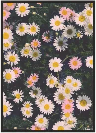 plakat-bez-ramy-a5-13x18-duzo-wzorow-kwiaty-17