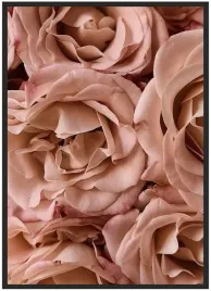 plakat-bez-ramy-a3-30x40-duzo-wzorow-roza-04