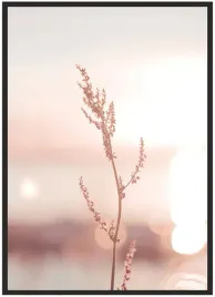 plakat-a5-13x18-w-ramie-duzo-wzorow-rosliny-18