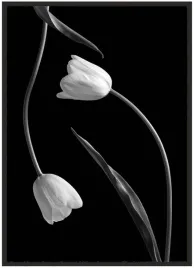plakat-bez-ramy-a3-30x40-duzo-wzorow-kwiaty-40