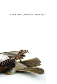 wsie-animalia-miscellanea-maciej-bobula