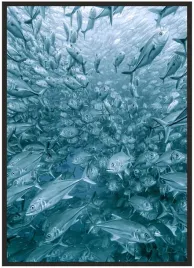 plakat-bez-ramy-a3-30x40-zwierzeta-02