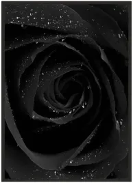 plakat-bez-ramy-a5-13x18-duzo-wzorow-roza-05