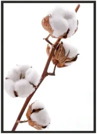 plakat-a5-13x18-w-ramie-duzo-wzorow-bawelna-04