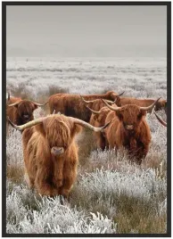 plakat-a3-30x40-w-ramie-duzo-wzorow-zwierzeta-01