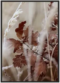 plakat-a3-30x40-w-ramie-duzo-wzorow-rosliny-12