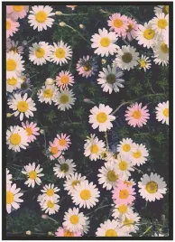 plakat-a5-13x18-w-ramie-duzo-wzorow-kwiaty-17