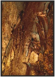 plakat-a5-13x18-w-ramie-duzo-wzorow-gold-01