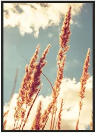 plakat-bez-ramy-a3-30x40-duzo-wzorow-trawa-01