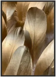 plakat-a3-30x40-w-ramie-duzo-wzorow-porko-03