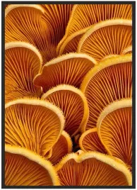 plakat-a3-30x40-w-ramie-duzo-wzorow-tekstura-12