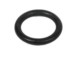 129979-o-ring-case-new-holland-oryginal
