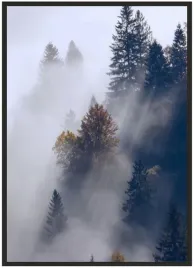 plakat-a5-13x18-w-ramie-duzo-wzorow-las-09