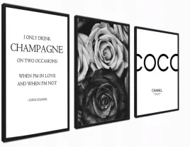 zestaw-plakat-3xa4-21x30-blackwhite-10-z-rama