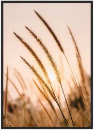 plakat-a5-13x18-w-ramie-duzo-wzorow-trawa-06