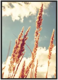 plakat-a3-30x40-w-ramie-duzo-wzorow-trawa-01