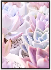 plakat-a4-21x30-w-ramie-duzo-wzorow-rosliny-02