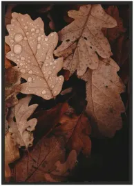 plakat-a3-30x40-w-ramie-duzo-wzorow-liscie-18