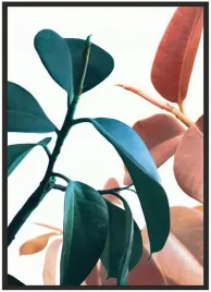 plakat-a4-21x30-w-ramie-duzo-wzorow-rosliny-10