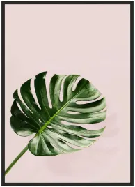 plakat-a4-21x30-w-ramie-duzo-wzorow-monstera-02