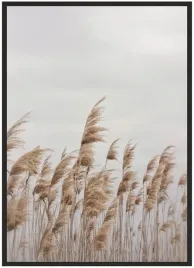 plakat-a3-30x40-w-ramie-duzo-wzorow-trawa-03