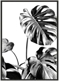 plakat-a4-21x30-w-ramie-duzo-wzorow-monstera-06