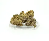 cbd-kwiaty-konopi-bubbels-3-g-stan-nowy