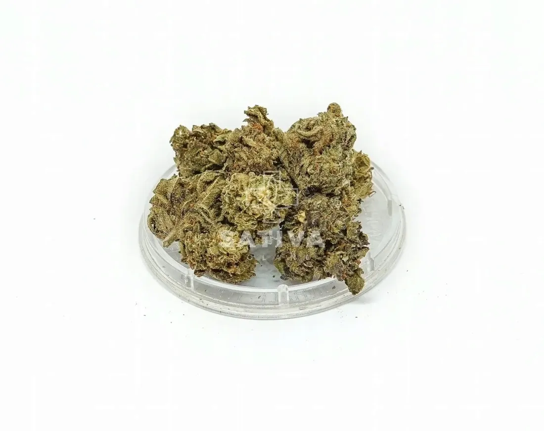 cbd-kwiaty-konopi-bubbels-3-g
