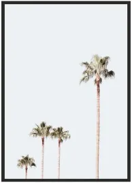 plakat-a3-30x40-w-ramie-duzo-wzorow-palma-05
