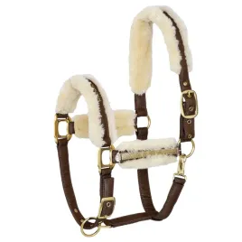 kantar-dla-konia-equestrian-queen-riga-24aw-brazowy-full