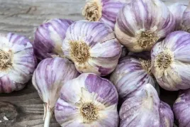 czosnek-polski-harnas-5kg-swiezy-zbior-kaliber-6