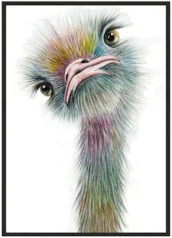 plakat-a4-21x30-w-ramie-duzo-wzorow-ptak-04