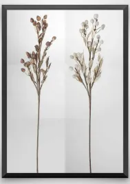 plakat-a3-30x40-w-ramie-wmp-trawa-boho-10
