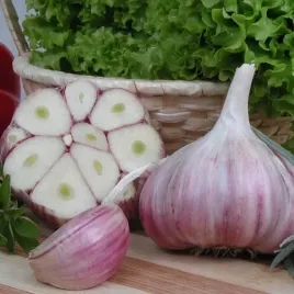 czosnek-harnas-1-kg-polski-zimowy-swiezy-ozimy