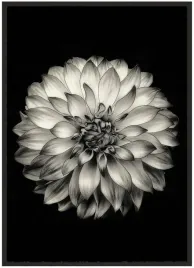 plakat-a3-30x40-w-ramie-duzo-wzorow-kwiaty-30