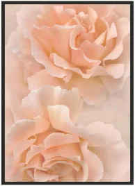 plakat-a4-21x30-w-ramie-duzo-wzorow-roza-11