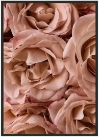 plakat-a3-30x40-w-ramie-duzo-wzorow-roza-04