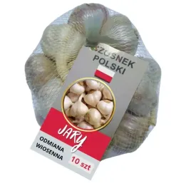 czosnek-jary-wiosenny-mocny-aromat-polski-jarus-10-szt