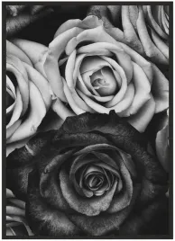 plakat-a4-21x30-w-ramie-duzo-wzorow-roza-06