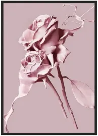 plakat-a3-30x40-w-ramie-duzo-wzorow-roza-09