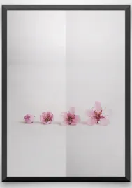 plakat-a3-30x40-w-ramie-wmp-kwiaty-4