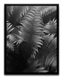 plakat-a3-30x40-w-ramie-tmp-czarne-07