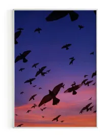 plakat-a3-30x40-w-ramie-rmp-ptak-01