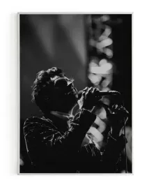 plakat-a3-30x40-w-ramie-rmp-harry-styles-10
