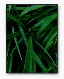 plakat-a3-30x40-w-ramie-imp-trawa-11