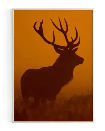 plakat-a3-30x40-w-ramie-rmp-jelen-06