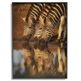 plakat-w-ramie-a3-30x40-wzor-afryka-04