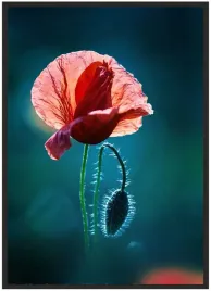 plakat-a3-30x40-w-ramie-duzo-wzorow-kwiaty-45