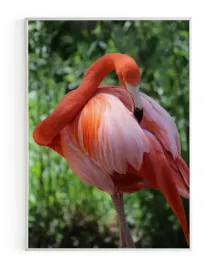 plakat-a3-30x40-w-ramie-rmp-ptak-04